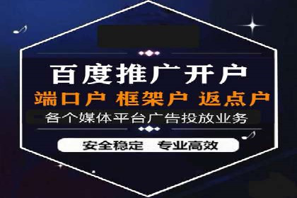 百度SEO推广成功案例：品牌知名度提升